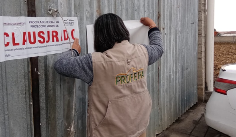 Personal de la Profepa colocando sellos de clausura en la entrada de SAFESA JM