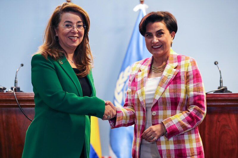 La vicepresidenta Delcy Rodríguez se reúne con la Alta Comisionada de la ONU para los Derechos Humanos, Michelle Bachelet.