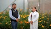 Universidad Autónoma de Chapingo investiga el uso de cempasúchil para sanar suelos y recursos hídricos agrícolas