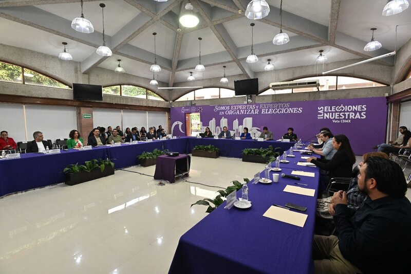 Reunión de trabajo de la Comisión de Organización Electoral del INE