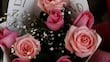 Crece hasta 25 por ciento demanda de rosas por Día del Amor y la Amistad en Jalisco