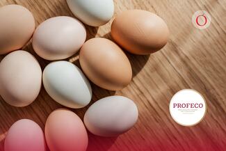 Huevo con las “tres B”: Profeco revela el lugar con el más barato en México en 2026