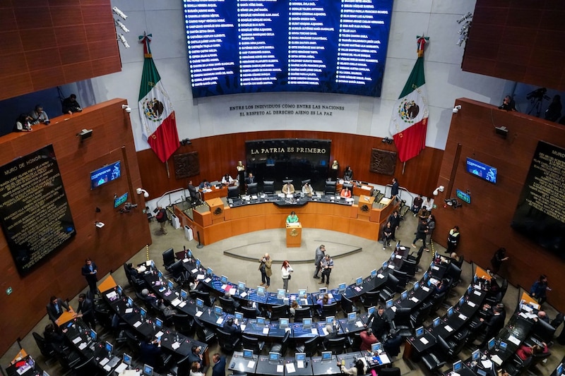 Aspectos general de la sesión de la Cámara de Senadores en la que se discutió la Ley Nacional para eliminar trámites burocráticos.