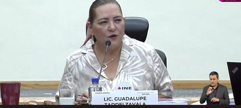 La presidenta del INE, Guadalupe Tadpole, habla en una conferencia de prensa.