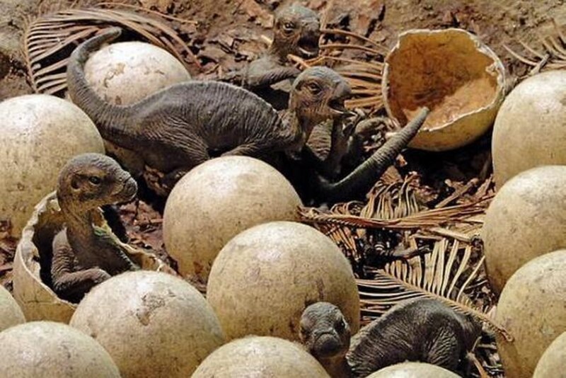 Bebés dinosaurios recién nacidos