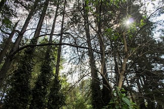 Niega Maricruz Luviano proyecto habitacional del INVI en Contadero