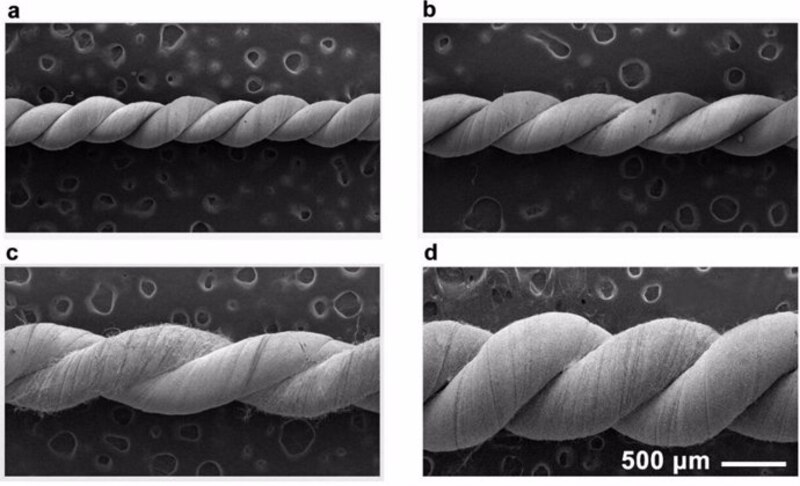 Microscopía electrónica de barrido de fibras de celulosa