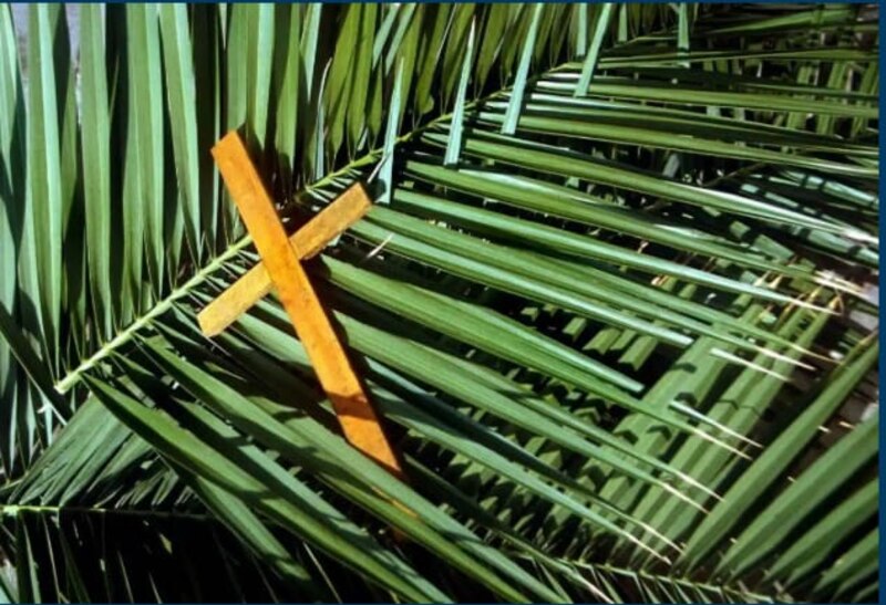 Cruz de madera sobre hojas de palma