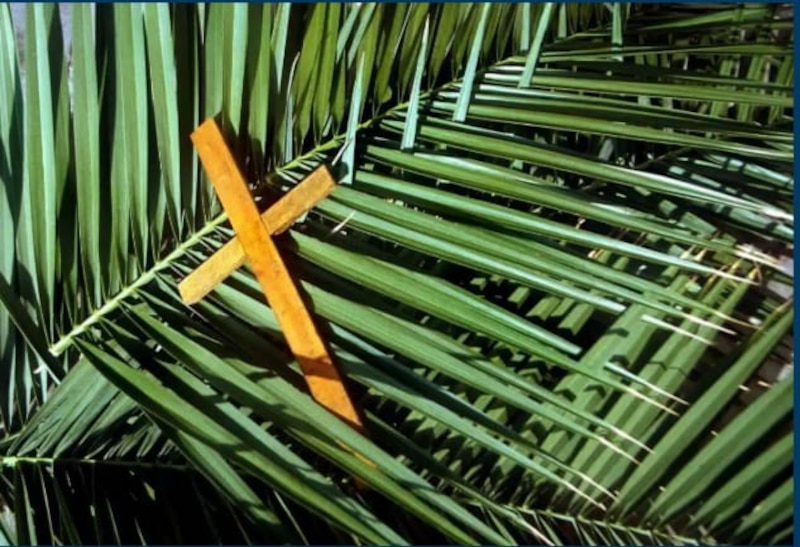 Cruz de madera sobre hojas de palma