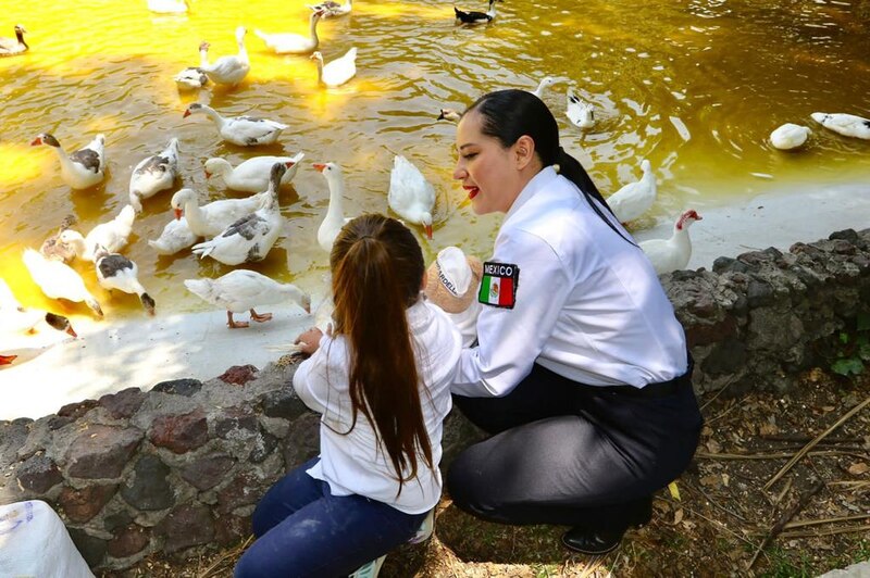 Niña alimentando a los patos en el estanque