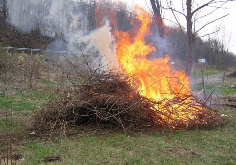 Incendio forestal