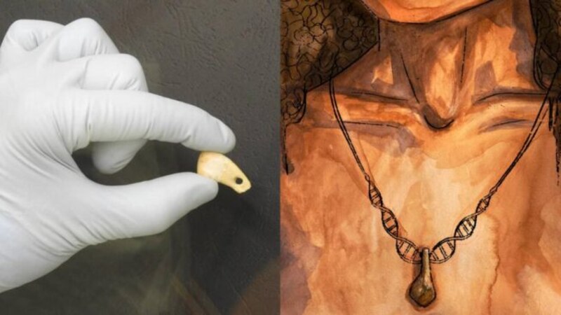 Un antiguo colgante de diente de mamut revela la historia de la joyería