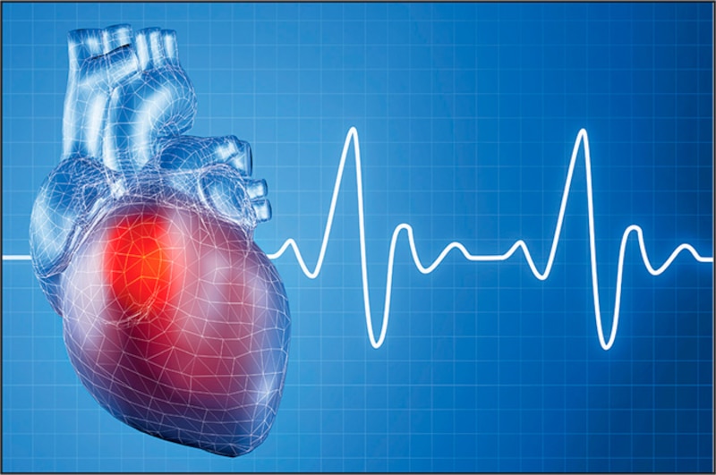 Corazón humano