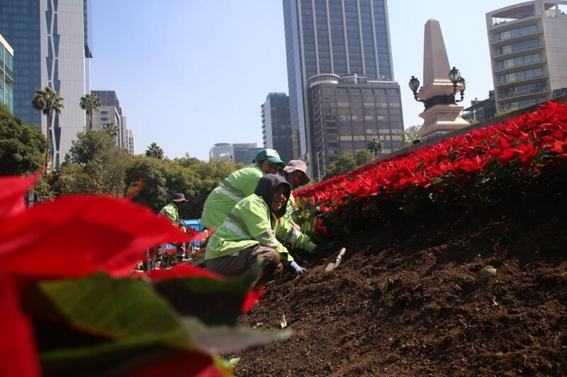 Jardineros plantando flores en un parque de la ciudad