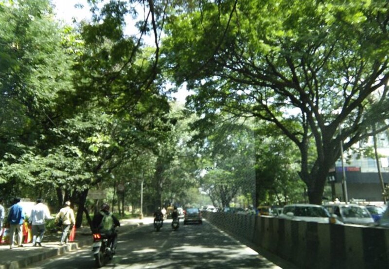 Una calle arbolada en la ciudad de Bangalore, India.