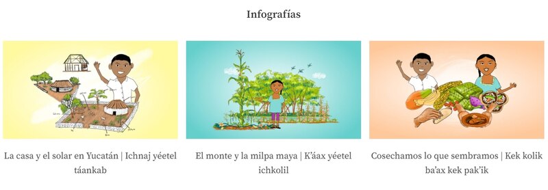 Este material descargable de forma gratuita en la página del IIS-UNAM fue realizado en maya y español para la población infantil. En la imagen se aprecian dibujos relacionados a cómo se vive en las casas mayas, qué es una milpa maya y qué es una cosecha maya.