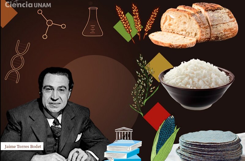 Jaime Torres Bodet y la ciencia de la nutrición