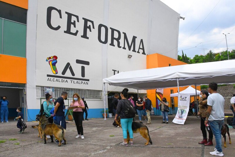 Jornada de vacunación antirrábica en Tlalpan