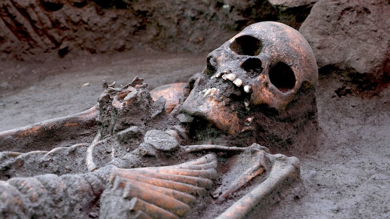 Restos óseos humanos encontrados en una excavación arqueológica