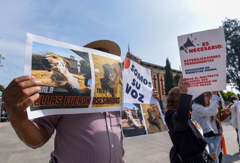 Protesta contra el maltrato animal