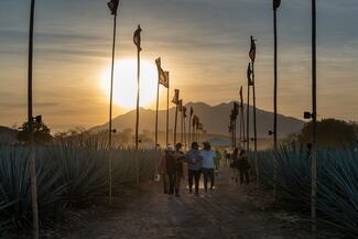Akamba 2026 apuesta por una experiencia irrepetible: electrónica global, arte vivo y ritual boutique entre agaves