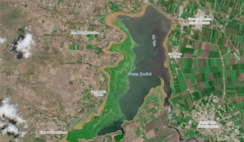 Vista de la presa Endhó en proceso de limpieza de lirio acuático como parte de un operativo interinstitucional
