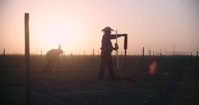 Agricultores trabajando en el campo al atardecer