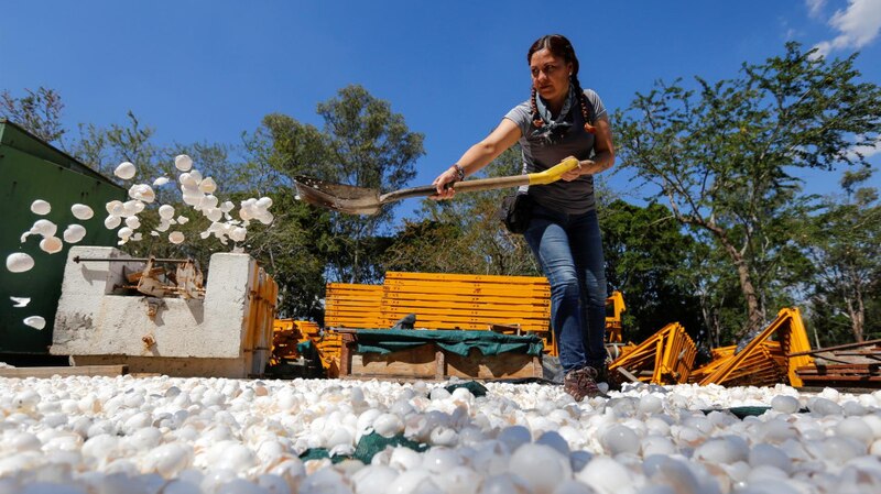Mujer trabajando en una planta de reciclaje de poliestireno