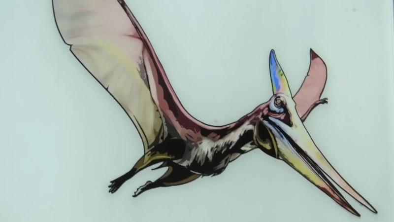 Quetzalcoatlus, el dinosaurio volador más grande de todos los tiempos