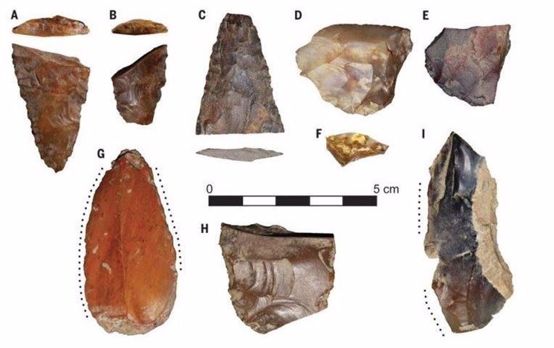 Herramientas de piedra encontradas en el sitio arqueológico de Atapuerca