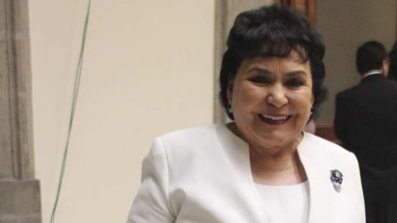 La senadora María del Carmen Alarcón, presidenta de la Comisión de Educación del Senado de la República.