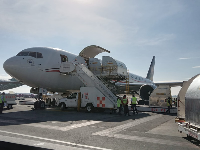 Carga de mercancía en un avión