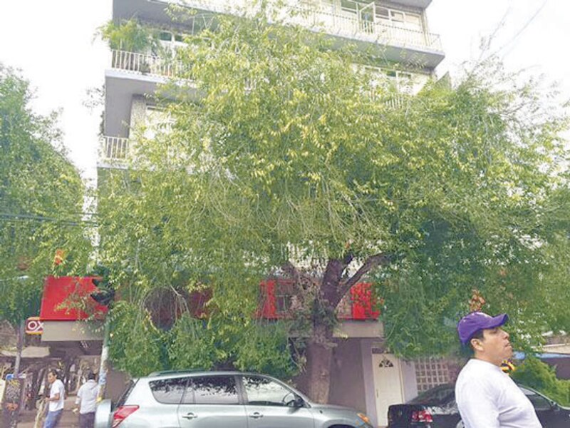 Un hombre camina por una calle arbolada