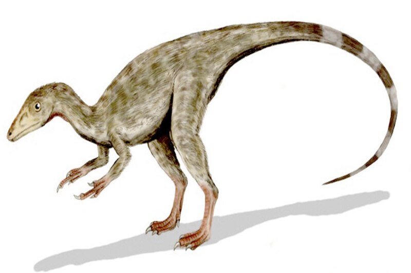 El dinosaurio más pequeño del mundo