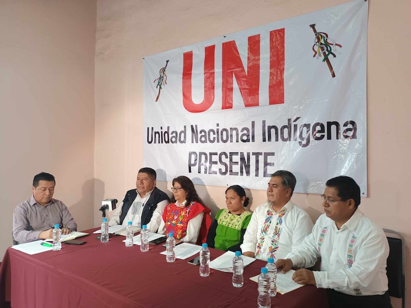 Mesa redonda sobre la situación de los pueblos indígenas en México