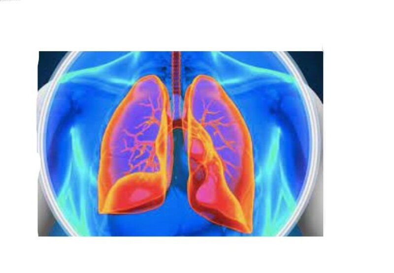 Pulmones