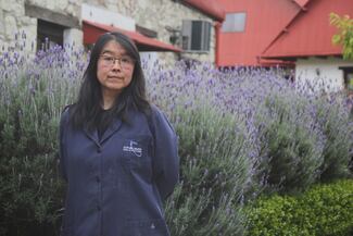 Relación México–Japón se refleja en su producción artística 