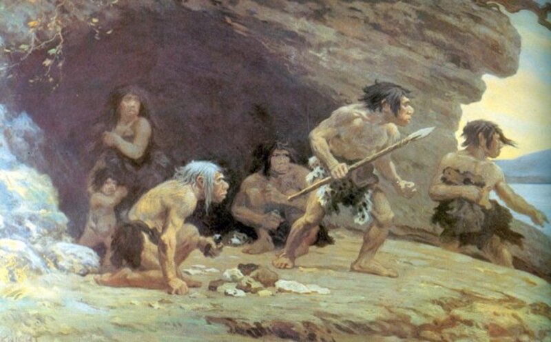 Los primeros humanos