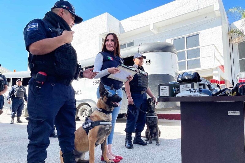 Perros policía reciben donación de equipo en México