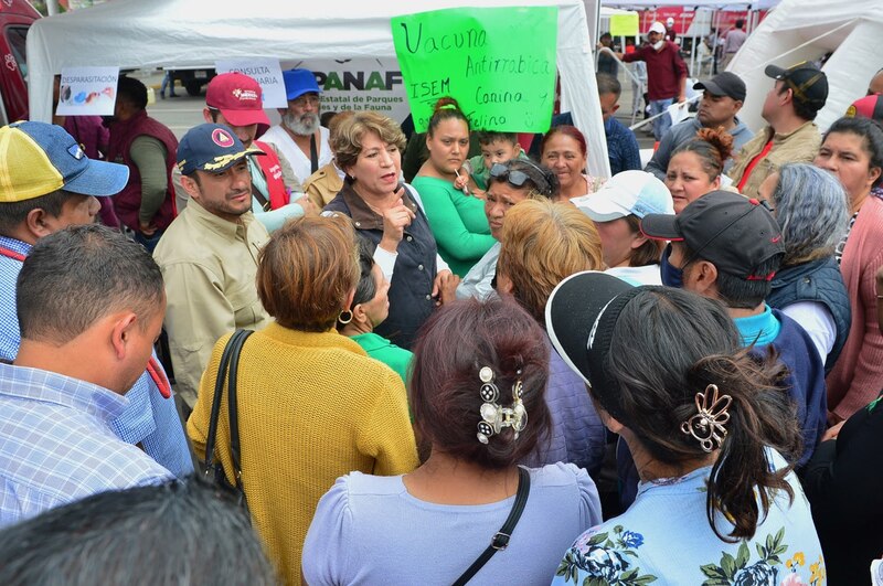 Jornada de vacunación antirrábica canina y felina en la Ciudad de México