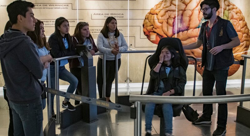 Jóvenes aprenden sobre el cerebro en un museo