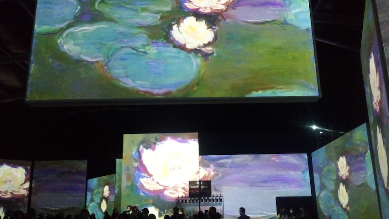 Instalación de arte digital inmersiva