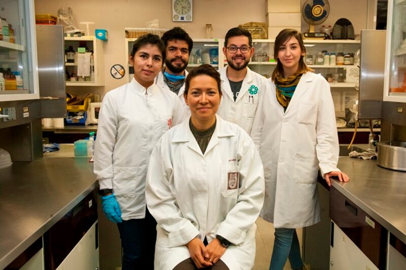 Investigadores del CONICET trabajan en el desarrollo de nuevos fármacos