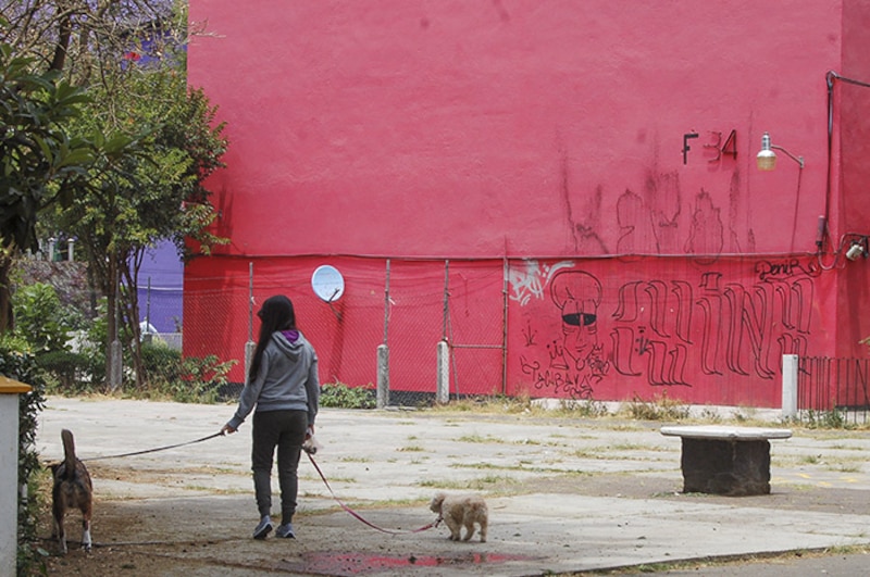 Niña paseando a su perro