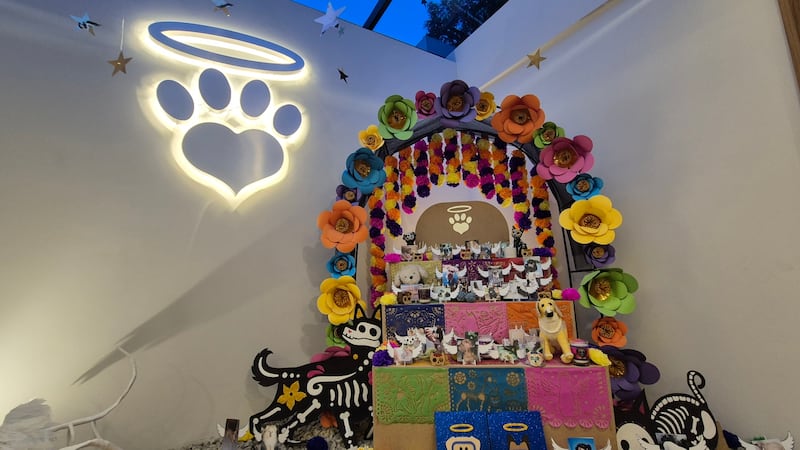 Ofrenda de Pets in the Sky