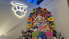 Pets in the Sky celebra 10 años con una ofrenda dedicada a las mascotas que viven en el cielo