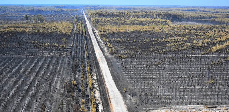 Incendios forestales en Australia