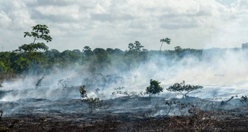 Incendios forestales en la Amazonía