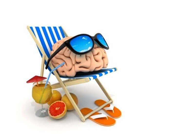 El cerebro en vacaciones