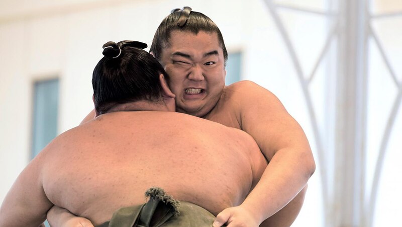 ¡Pelea de sumo!